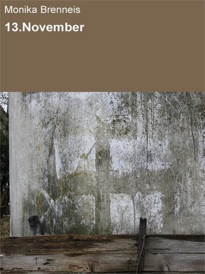 cover image of 13.November